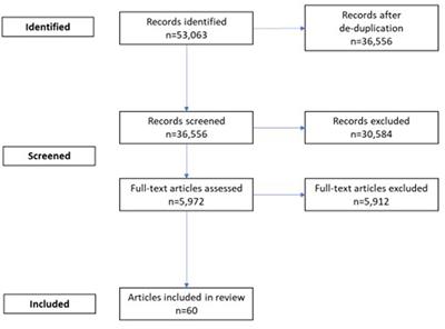 Disease burden and high-risk populations for complications in patients with acute respiratory infections: a scoping review